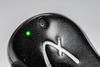 Fender TOUR True Wireless Bluetooth Earphone 全無線入耳鑑聽耳機