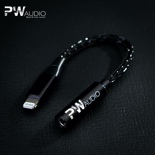 PW Audio Copper MMCX 恨む 3.5mm